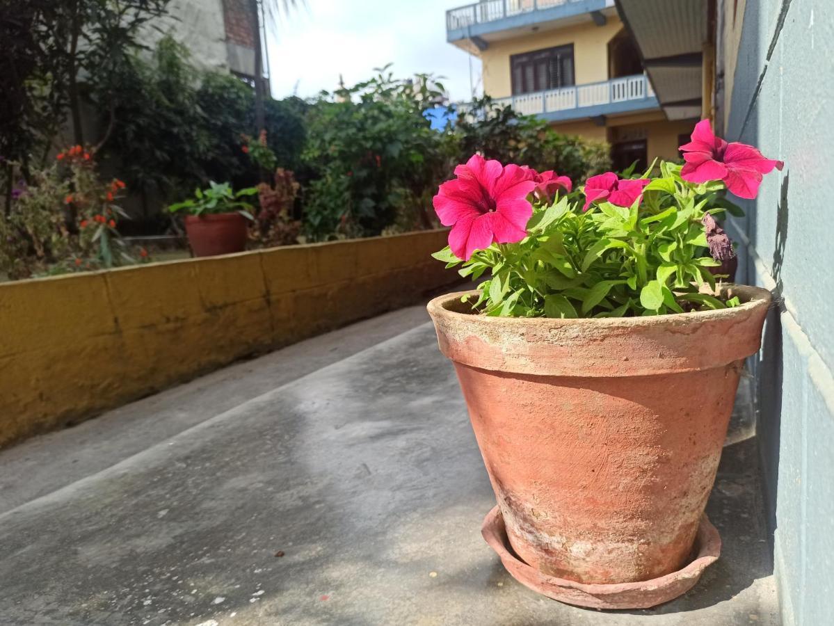 Pushpa Guest House Pokhara Exteriör bild
